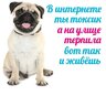 Mops Emmerson